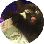 cats in space