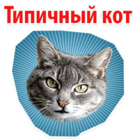 Мемы с котом