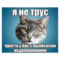 Мемы с котом