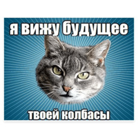 Мемы с котом