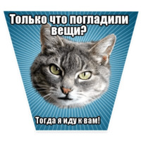 Мемы с котом