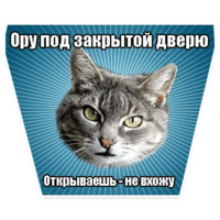 Мемы с котом