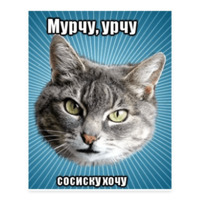 Мемы с котом