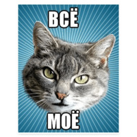 Мемы с котом