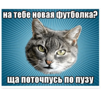 Мемы с котом