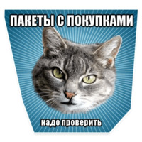 Мемы с котом