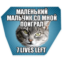 Мемы с котом