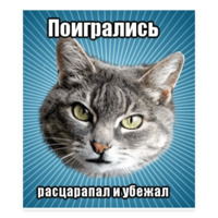 Мемы с котом