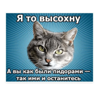 Мемы с котом