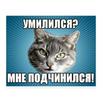 Мемы с котом