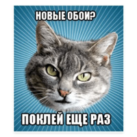 Мемы с котом