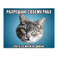 Мемы с котом