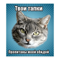 Мемы с котом