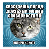 Мемы с котом