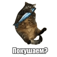 Мысли котов