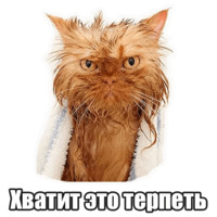 Мысли котов