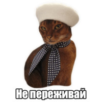 Мысли котов
