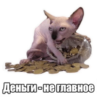 Мысли котов
