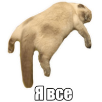 Мысли котов