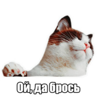 Мысли котов