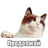 Мысли котов