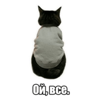 Мысли котов
