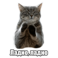 Мысли котов