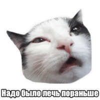 Мысли котов