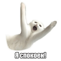 Мысли котов