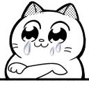 Catting cat