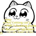Catting cat