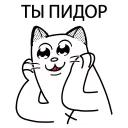 Catting cat