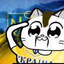 Catting cat