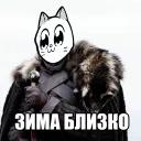 Catting cat