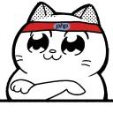 Catting cat