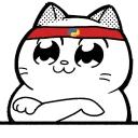 Catting cat
