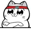 Catting cat