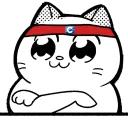 Catting cat