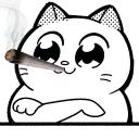 Catting cat