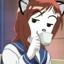 Catting cat