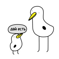 Чайка жизни