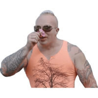 Чаровницы