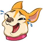 Chihuahua Chica