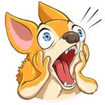 Chihuahua Chica
