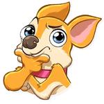 Chihuahua Chica