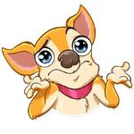 Chihuahua Chica
