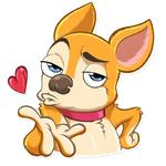 Chihuahua Chica