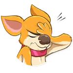 Chihuahua Chica