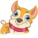 Chihuahua Chica