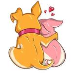 Chihuahua Chica